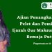 Ajian Penangkal Ilmu Pelet dan Pemikat, Ijazah Gus Maksum untuk Remaja Putri