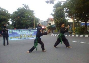 Pendekar Pagar Nusa Nahdlatul Ulama Sebagai Agen Perdamaian