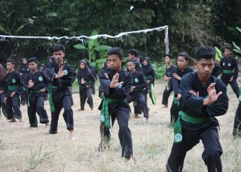 Sinergi Pagar Nusa NU, Ciptakan Keamanan Lingkungan