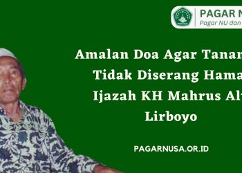 Amalan Doa Agar Tanaman Tidak Diserang Hama, Ijazah KH Mahrus Aly Lirboyo