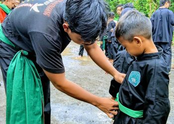 Tingkatan Sabuk Pagar Nusa