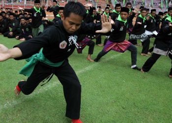 Tingkatan dan Materi Latihan Pencak Silat Pagar Nusa