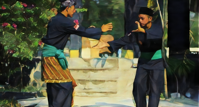Seni budaya pencak silat