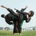 38 tahun Pagar Nusa menjaga warisan pencak silat khas Nusantara