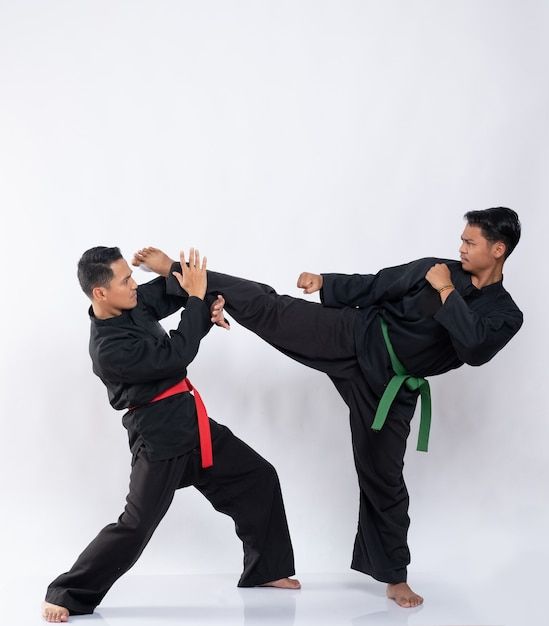 sikap dasar pencak silat