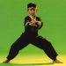 Sikap dasar pencak silat